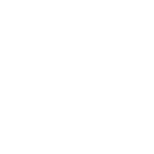 Mansion House Icon